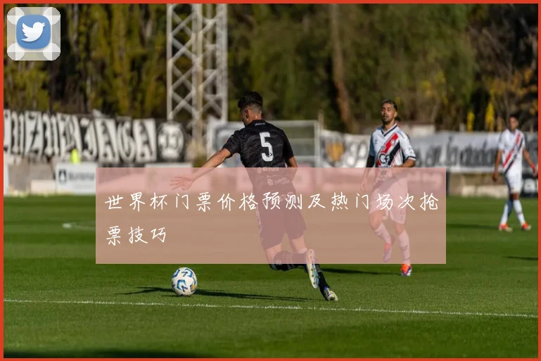 世界杯门票价格预测及热门场次抢票技巧
