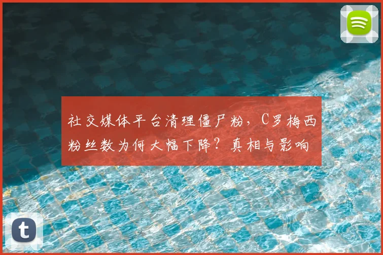 社交媒体平台清理僵尸粉,C罗梅西粉丝数为何大幅下降?真相与影响解析