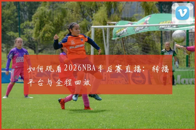 如何观看2026NBA季后赛直播:转播平台与全程回放